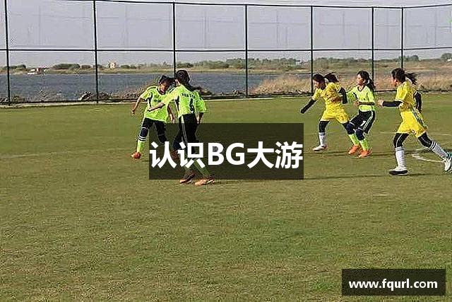 认识BG大游